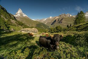 Riffelalp Resort 2222m