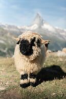 Riffelalp Resort 2222m