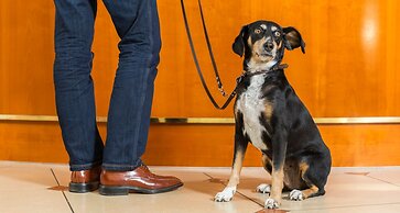 Victor's Residenz-Hotel Leipzig