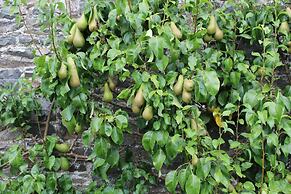 Cringletie House Hotel