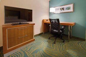 SpringHill Suites by Marriott Orlando Lake Buena Vista South