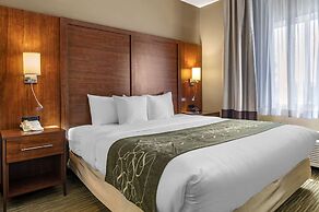 Comfort Suites North