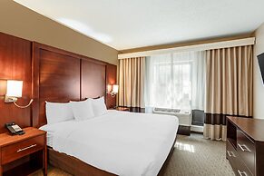 Comfort Suites State College near Penn State