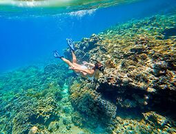 Discovery Coron