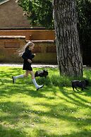 Mercure Oxford Hawkwell House Hotel