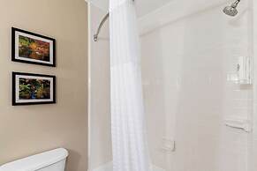 Comfort Suites Roanoke - Fort Worth North