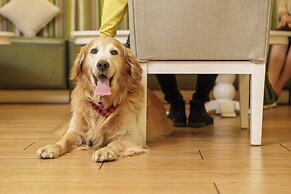 InterContinental Real Guatemala by IHG