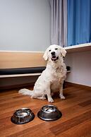 Ibis Poznań Stare Miasto