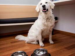 Ibis Poznań Stare Miasto