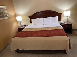 Quality Inn Near Walden Galleria Mall
