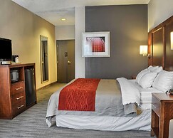 Comfort Inn Ruther Glen near Kings Dominion