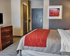 Comfort Inn Ruther Glen near Kings Dominion