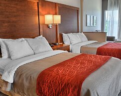 Comfort Inn Ruther Glen near Kings Dominion