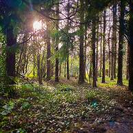 Dunbrody Country House Hotel