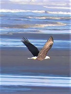 Chautauqua Resort & Conference Center