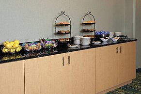 SpringHill Suites Chicago O'Hare by Marriott