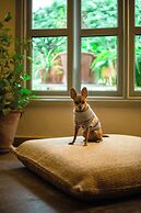 Hospes Las Casas del Rey de Baeza, a Member of Design Hotels