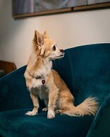 Maison Colbert, member of Meliá Collection  Notre-Dame