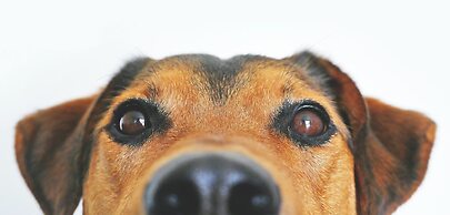 Garner Hotel Berlin - Spandau by IHG