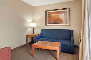 Comfort Suites Auburn Hills-Detroit