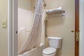 Comfort Suites Auburn Hills-Detroit