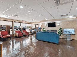 Comfort Inn Downtown