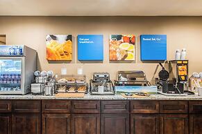 Comfort Inn Downtown