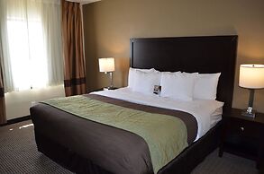 Comfort Inn Downtown
