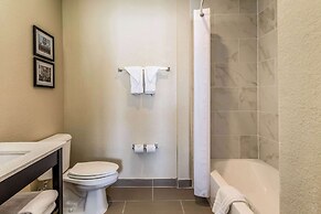 Comfort Inn Downtown