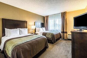 Comfort Inn Downtown