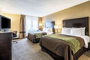 Comfort Inn Downtown