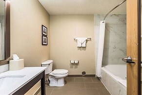 Comfort Inn Downtown