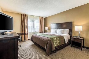 Comfort Inn Downtown
