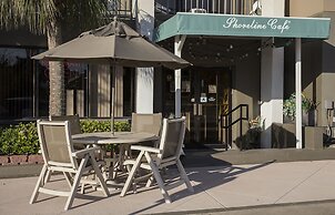 Grande Shores Ocean Resort