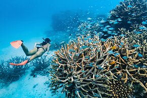 Orpheus Island Lodge