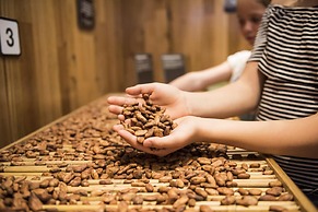 Phillip Island Apartments