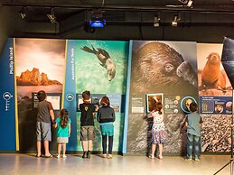 Phillip Island Apartments