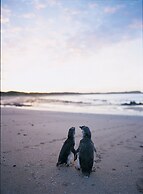 Phillip Island Apartments