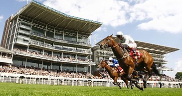 Elmbank York, Tapestry Collection by Hilton