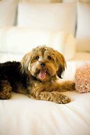 Vancouver Airport Marriott