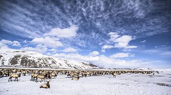 Mountain Modern Jackson Hole