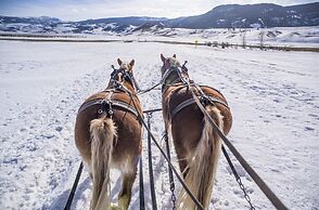 Mountain Modern Jackson Hole