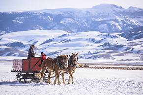 Mountain Modern Jackson Hole