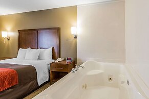 Comfort Inn & Suites Dalton