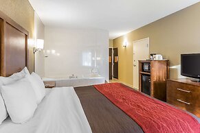 Comfort Inn & Suites Dalton