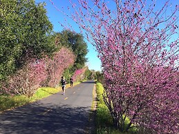 Bristol Hotel, Boutique Collection