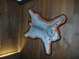Bear Lodge Motel