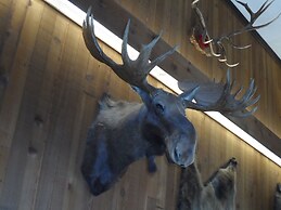 Bear Lodge Motel