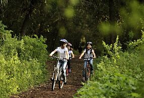 ibis Mulhouse Ile Napoléon