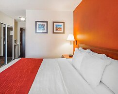 Comfort Inn & Suites University